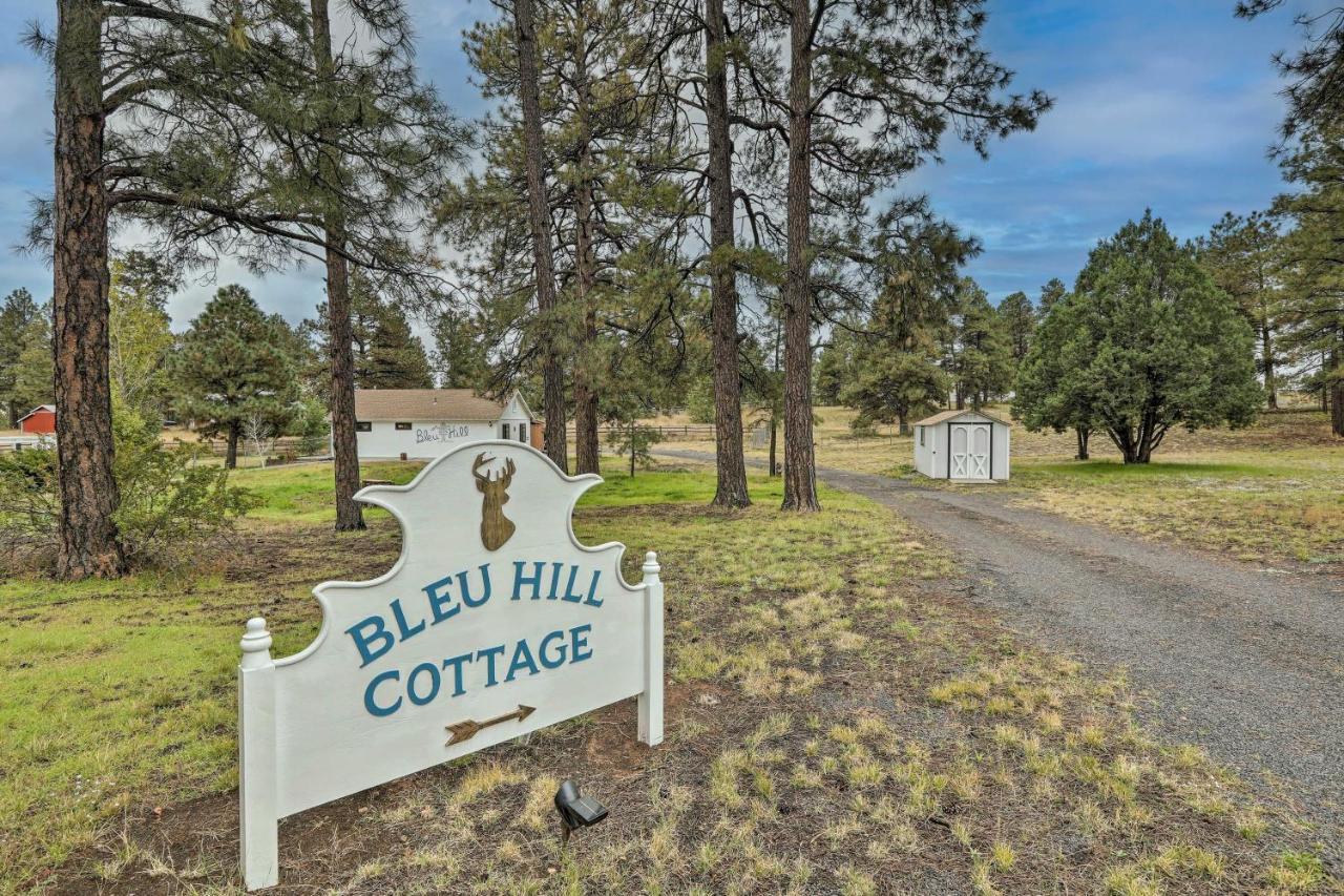 Ski Snow Bowl And Hike Cozy Flagstaff Cottage! 외부 사진